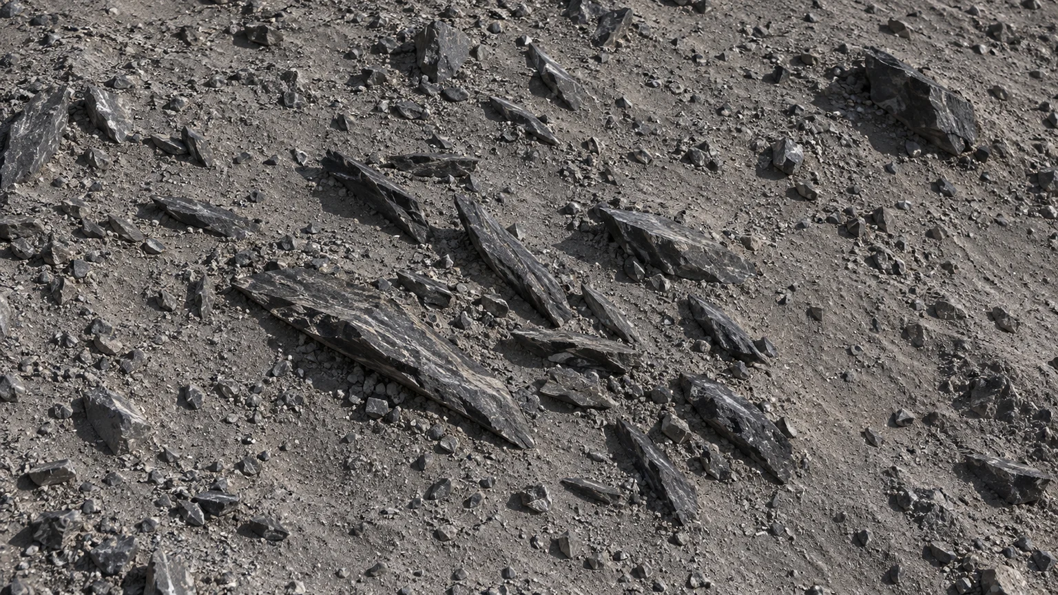 A cluster of slender dark rock fragments resting flat on dusty ground. An artistic reconstruction of Desdemona; local detail, lighting and viewpoint are imagined.